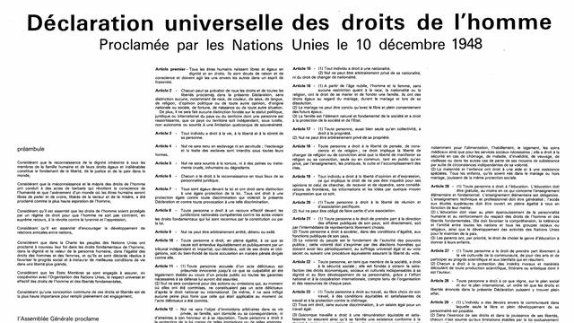 Le texte de la Déclaration universelle des droits de l'Homme, proclamée le 10 décembre 1948. [AFP]