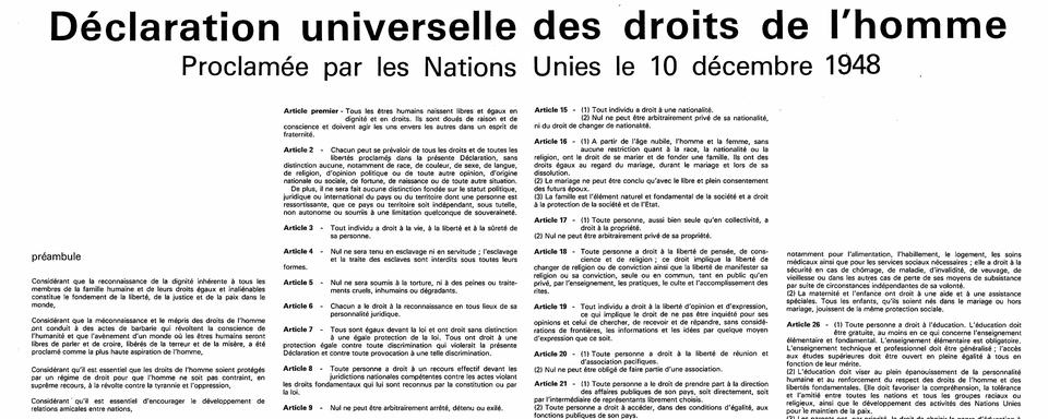 Le texte de la Déclaration universelle des droits de l'Homme, proclamée le 10 décembre 1948. [AFP]