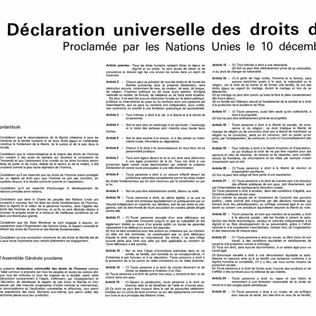 Le texte de la Déclaration universelle des droits de l'Homme, proclamée le 10 décembre 1948. [AFP]