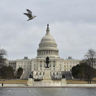 Le Capitole, le siège du Sénat américain à Washington. [AFP - Mandel Ngan]