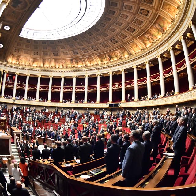 L'Assemblée nationale française. [AFp - Christophe Simon]