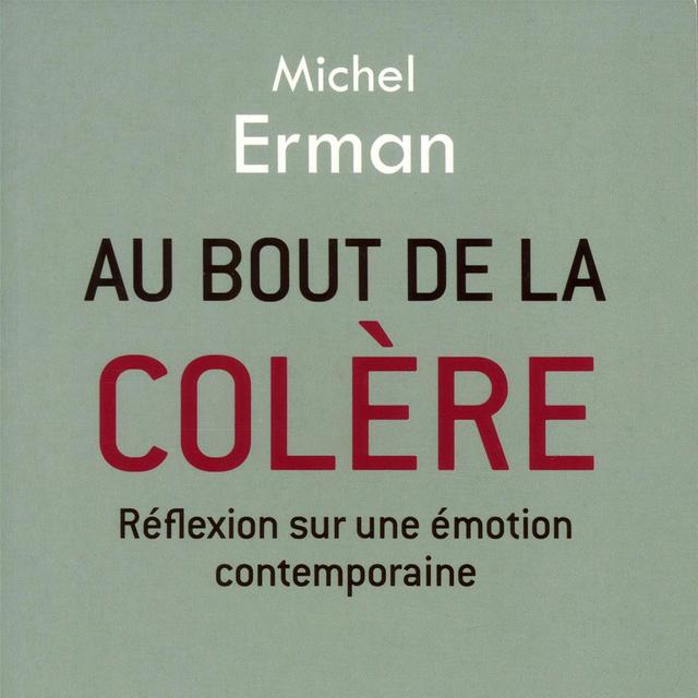 Couverture du livre "Au bout de la colère", écrit par Michel Erman. [Editions Plon - DR]