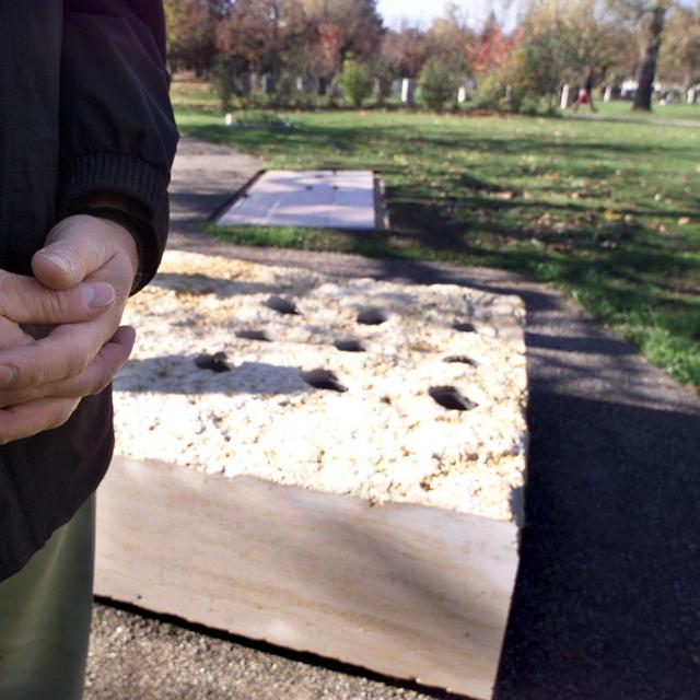 Le cimetière de Bremgarten à Berne. [Keystone - Lukas Lehmann]