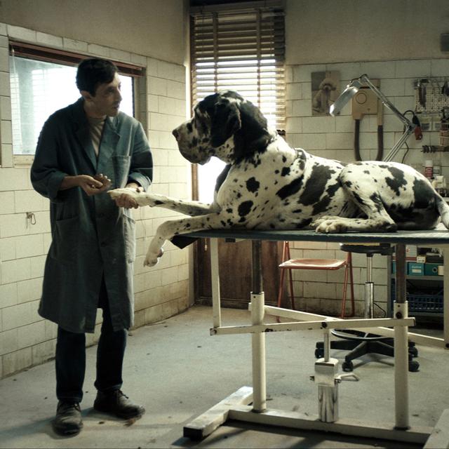 Marcello Fonte dans "Dogman" de Matteo Garrone. [AFP - Archimede / Le Pacte / Rai cinem / Collection ChristopheL]