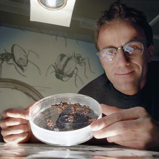 Le biologiste Laurent Keller. [Keystone - Str]