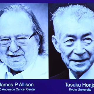 Les portraits de James P. Allison et Tasuku Honjo, Prix Nobel de médecine 2018. [AFP - Jonathan Nackstrand]
