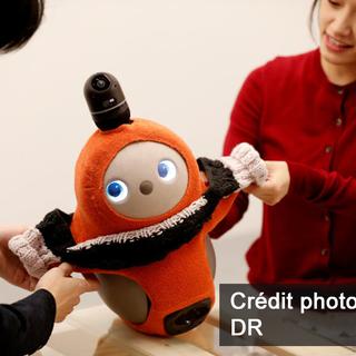 Un robot japonais pour tromper la solitude. [DR]