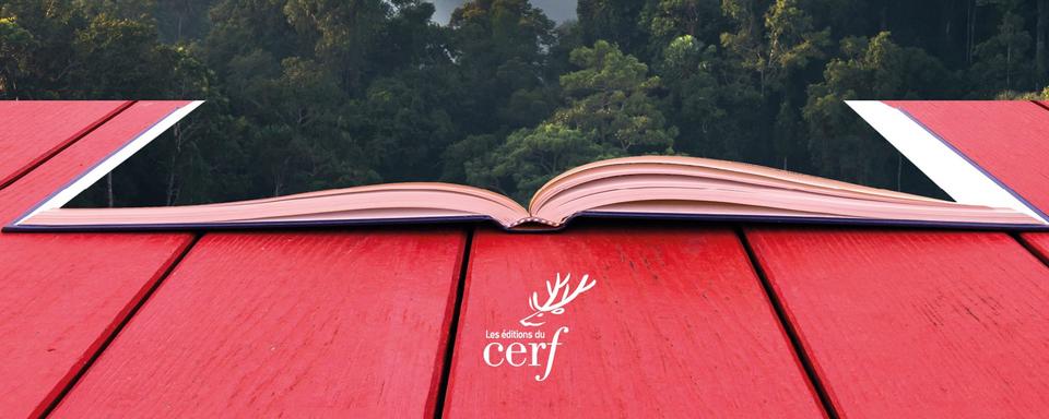 La couverture de "Le premier arbre et autres récits qui cachent la forêt" de Valère-Marie Marchand. [Editions du Cerf]