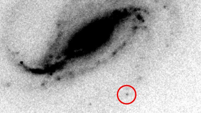 Photographie de la galaxie NGC 613, avec la supernova qui apparaît sous forme de point en bas à droite de l'image. [Nature Research - Victor Buso et Gaston Folatelli]