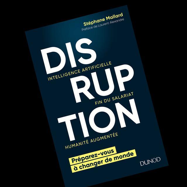 Couverture du livre "Disruption", écrit par Stéphane Mallard. [Dunod - DR]