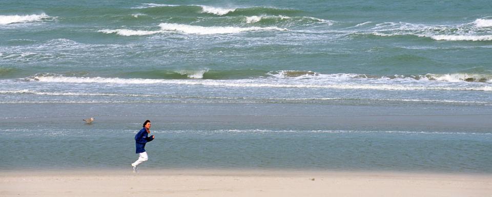 Une plage du Westhoek, à la frontière franco-belge. [AFP - Bertrand Rieger - Hemis]