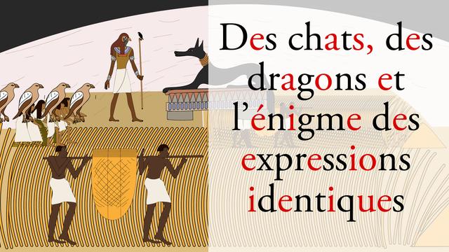 Sur le bout des langues - L’énigme des expressions identiques