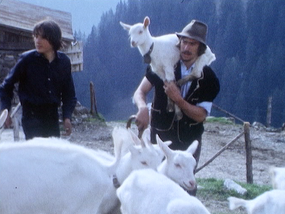 Les chèvres montent à l'alpage, Vaud, 1975. [RTS]