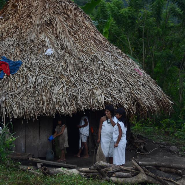 Chez les Indiens Kogis de Colombie [RTS - Emmanuel Haddad]