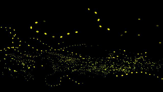 La bioluminescence est propre à de nombreux organismes.
grape_vein
Fotolia [grape_vein]
