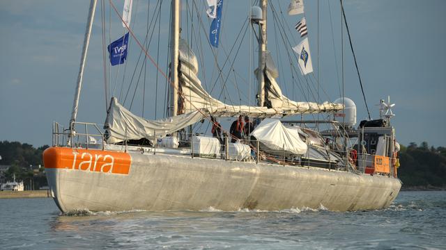 La goélette Tara lors de son départ dans l'océan Pacifique. [AFP - Fred Tanneau]