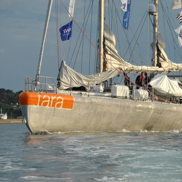 La goélette Tara lors de son départ dans l'océan Pacifique. [AFP - Fred Tanneau]