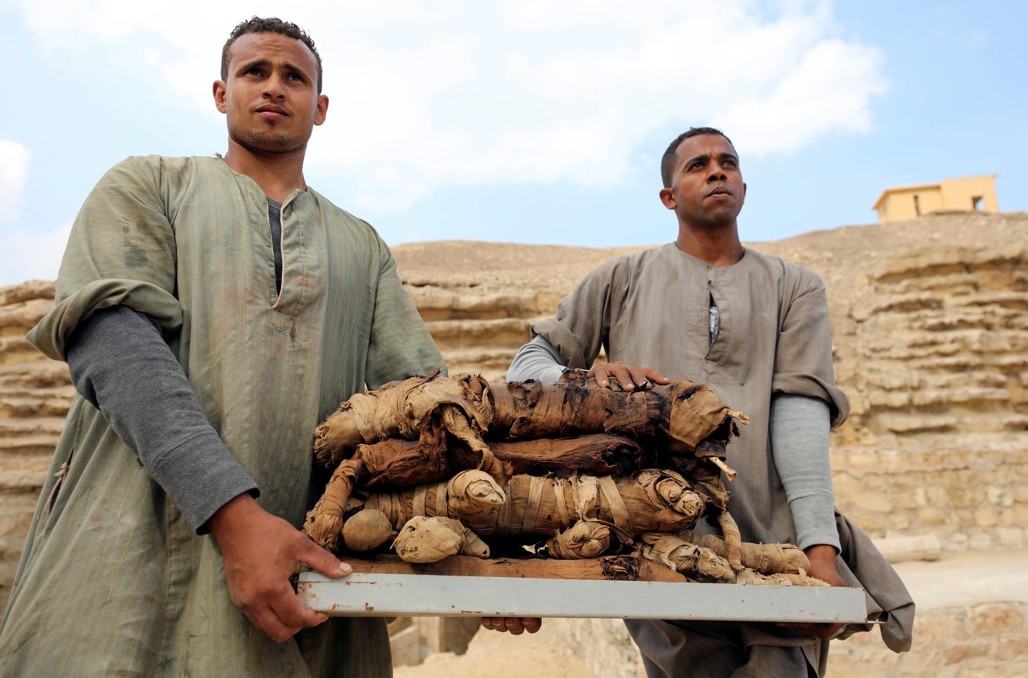 Les momies de chats sont extraites de la nécropole de Saqqarah, en Egypte. [Reuters - Mohamed Abd El Ghany]