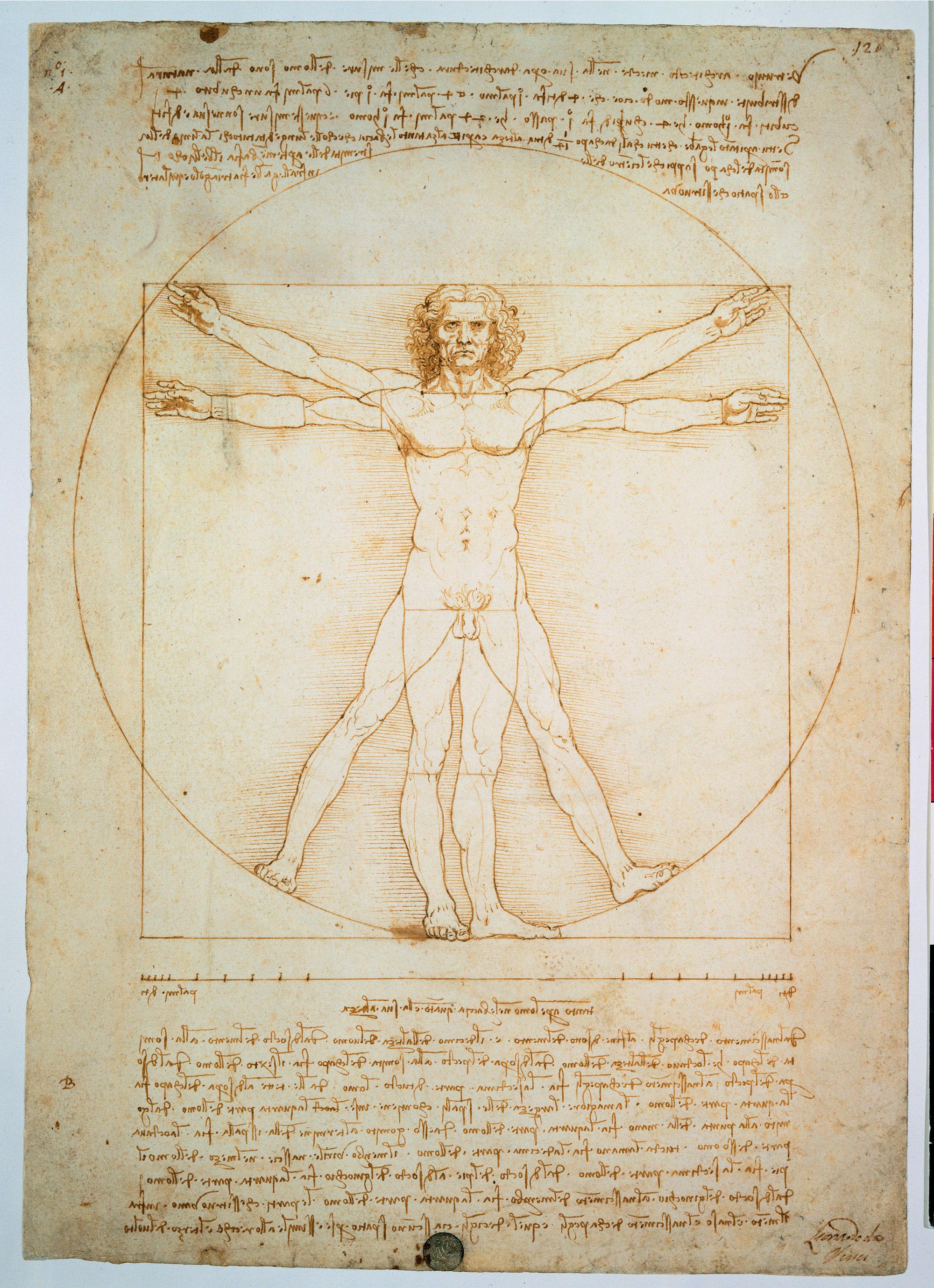 L'homme de Vitruve ou l'art des proportions [Galerie dell'Accademia, Venise. - ©Electa/leemage/afp]