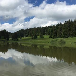 L'étang du Plain de Saigne dans le Jura. [RTS - Gaël Klein]