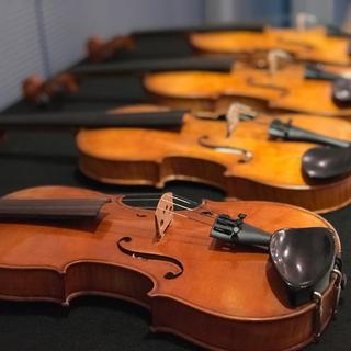 Les violons fabriqués à partir de Mycowood doivent prouver leur potentiel dans des conditions scientifiques
EMPA [EMPA]