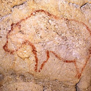 Peinture rouge figurant un ours, 50 x 80 cm, Galerie du Cactus, Grotte Chauvet-Pont d'Arc, Ardèche, - 38 000 - 28 000. 
N. Aujoulat
Centre National de Préhistoire – MCC [Centre National de Préhistoire – MCC - N. Aujoulat]