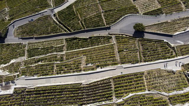 La commune vaudoise de Saint-Saphorin a demandé à ses habitants de limiter leur consommation d'eau. [Keystone - Laurent Gilliéron]