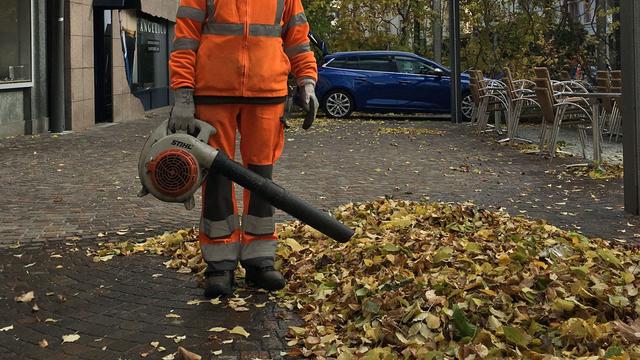 Le bruit des souffleuses de feuilles irrite de nombreuses personnes. [RTS - Sandra Zimmerli]