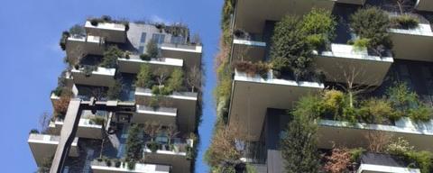 Les forêts verticales construites par l'architecte Stefano Boeri en plein coeur de Milan. [RTS - Manuela Salvi]