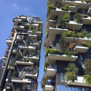 Les forêts verticales construites par l'architecte Stefano Boeri en plein coeur de Milan. [RTS - Manuela Salvi]