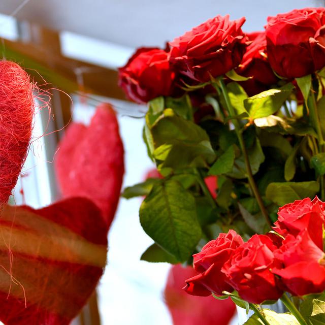 Image d'illustration pour la Saint-Valentin, avec des roses rouges dans une vitrine. [APA/Keystone - Barbara Gindl]