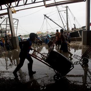 Des travailleurs migrants déchargent du poisson congelé d'un bateau jusqu'à un marché de poisson en Thaïlande, le 20 juin 2014. [Keystone/AP Photo - Sakchai Lalit]