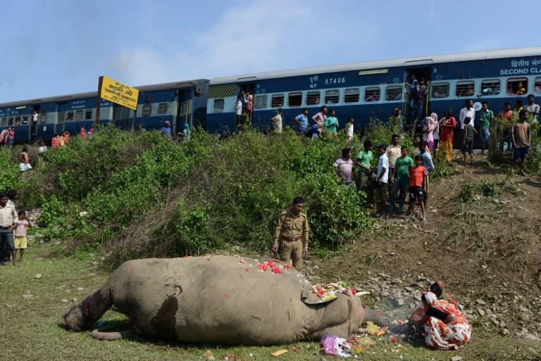 Un éléphant gît au sol après avoir été percuté par un train près de Siliguri en 2017. [AFP - Diptendu Dutta]