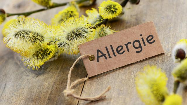Allergies [Fotolia - © Printemps]