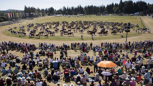 Environ 450 Franches-Montagnes, unique race chevaline d'origine suisse subsistante, ont défilé au Marché-Concours de Saignelégier (JU). [Keystone - Peter Klaunzer]