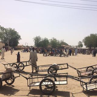 Des combattants de Boko Haram ont attaqué le village de Dapchi, dans le nord du Nigéria. [RTS - Anouk Henry]