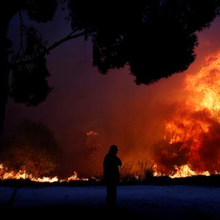 Les feux de forêt ont mobilisé plus d'un millier d'hommes et une quinzaine de moyens aériens au Portugal (image d'illustration). [Reuters - Costas Baltas]