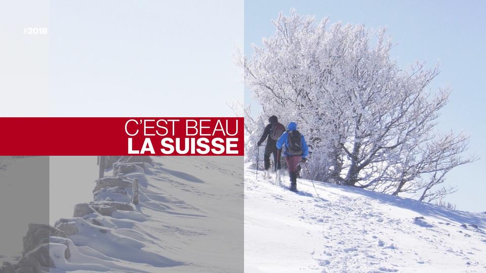 La revue 2018 sur la Suisse