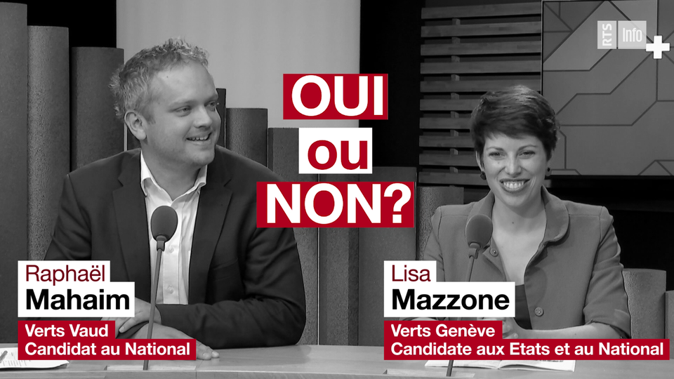 Face aux partis - Questions en rafale aux Verts