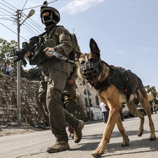 Un soldat israélien et un chien de guerre. [AFP - Hazem Bader]