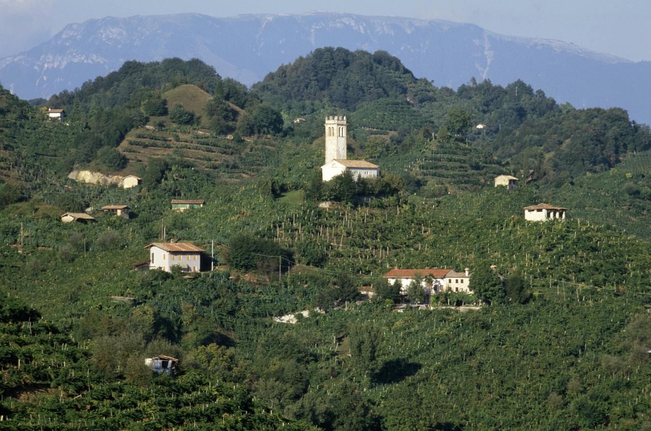 Le paysage de la zone de production du Prosecco, en Italie, se caractérise par des collines aux pentes abruptes et des petites parcelles de vignes. [AFP - Stefano Scata]