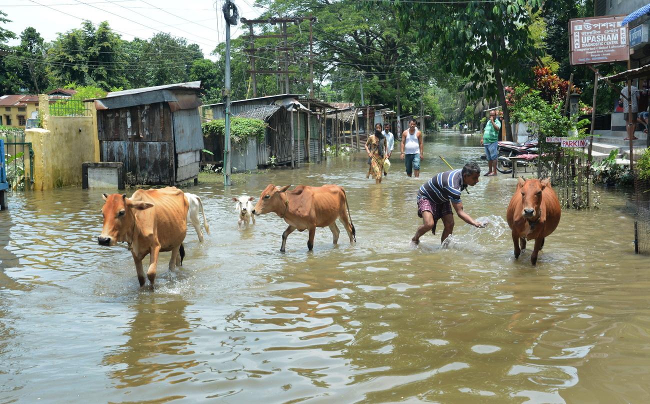 Des inondations dans l'Etat indien d'Assam en juillet dernier. [Keystone/EPA/STR - STR]