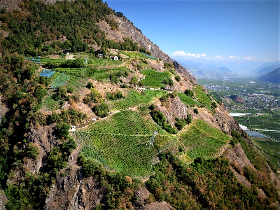 Situé à 800m d'altitude, le domaine de Beudon n'est accessible qu'en télébenne, ou à pied. [Point prod]