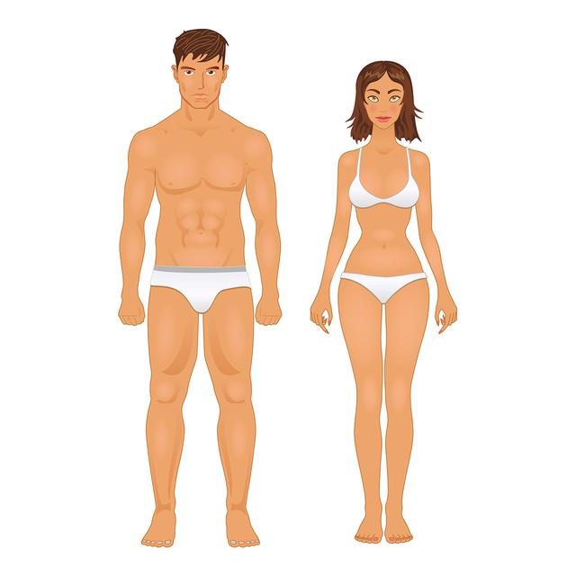 Les hommes sont en moyenne plus grands et physiquement plus forts que les femmes.
Kalcutta
Depositphotos [Depositphotos - Kalcutta]