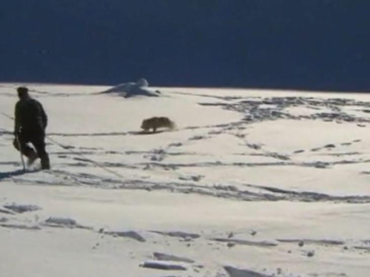 Chien d'avalanche et son maître en 2002. [RTS]