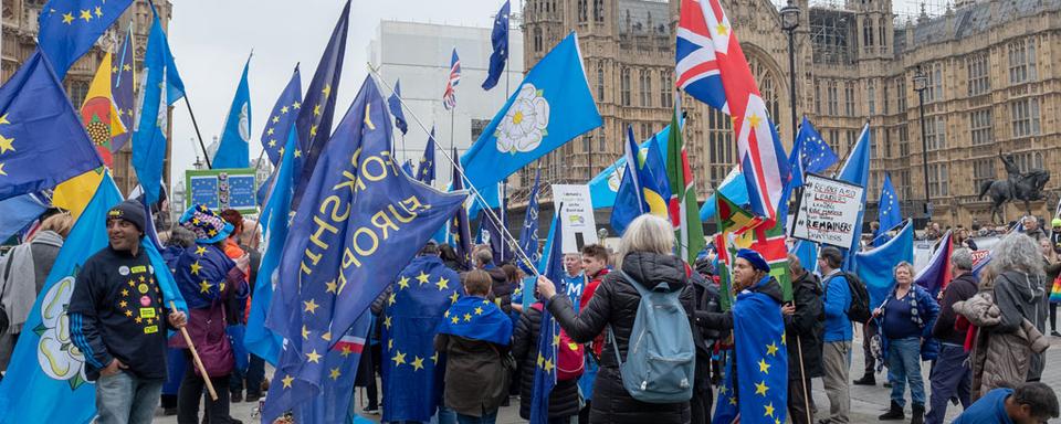 Devant le parlement, à Westminster, les manifestations sont permanentes. [NurPhoto/Keystone - Robin Pope]