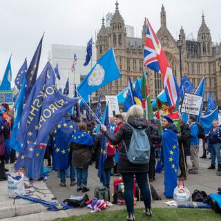 Devant le parlement, à Westminster, les manifestations sont permanentes. [NurPhoto/Keystone - Robin Pope]