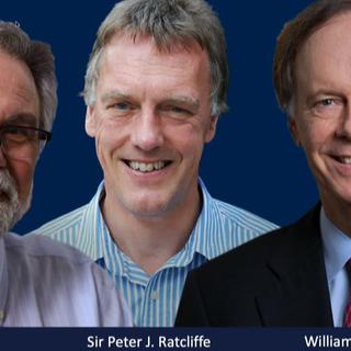 Les trois lauréats du prix Nobel de Médecine 2019. [www.nobelprize.org - Capture d'écran]