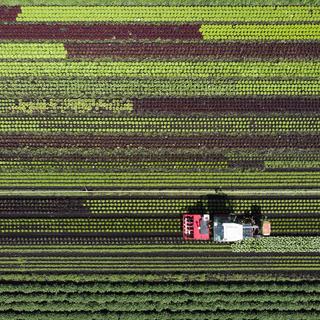 L’OCDE recommande de réorienter les subventions à l’agriculture vers le climat. [Keystone - Anthony Anex]