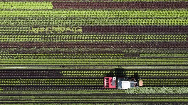 L’OCDE recommande de réorienter les subventions à l’agriculture vers le climat. [Keystone - Anthony Anex]